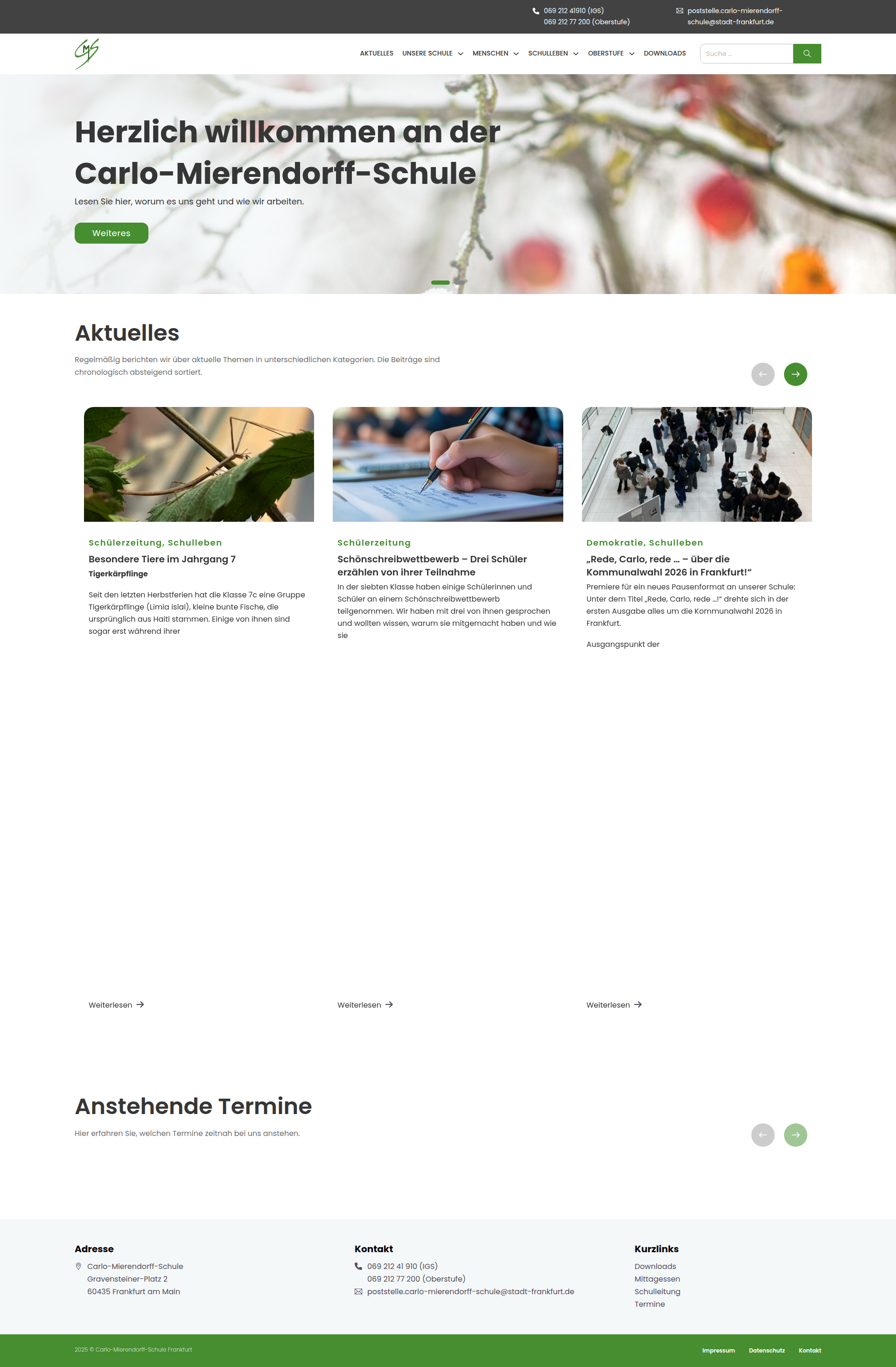 Screenshot Gesamtschule Website – WordPress Relaunch